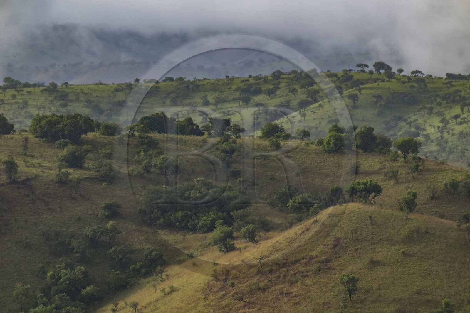 Rwanda, les collines du Parc national de l'Akagera
