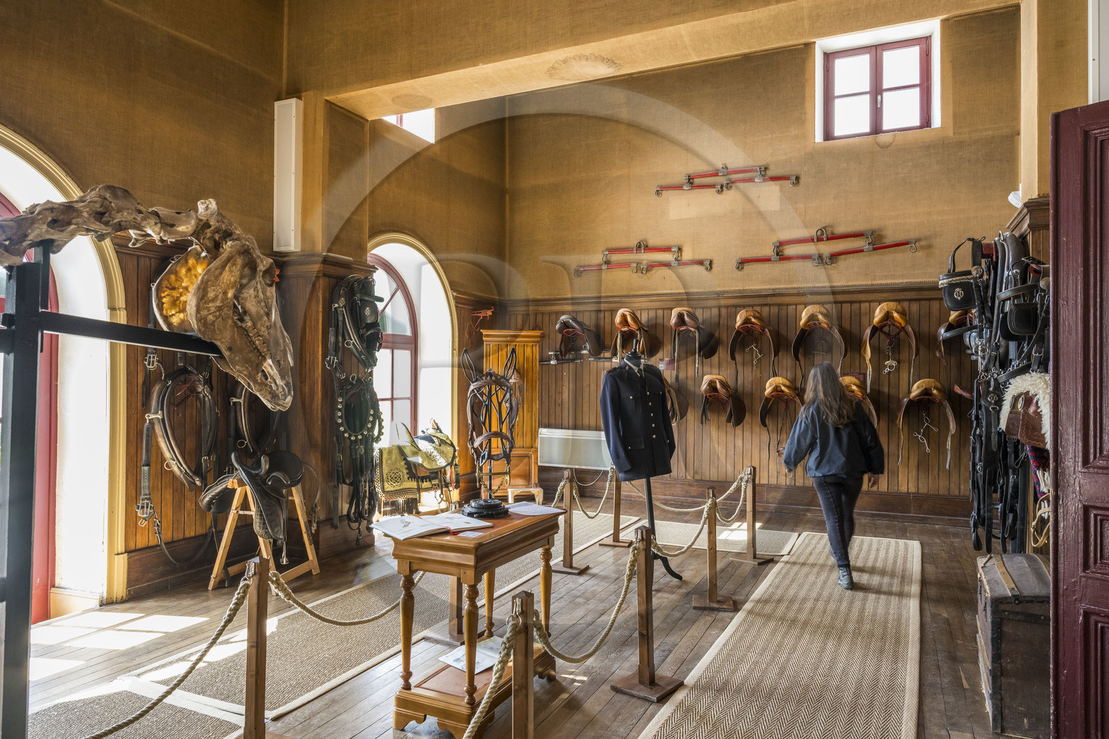 France, Vendée (85), La Roche-sur-Yon, sellerie d'honneur du Haras de la Vendée ancien haras national conçu par Joseph Mallet (1846)