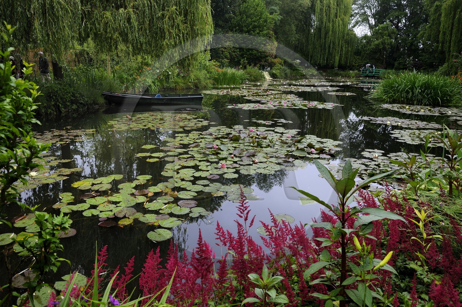 France, Eure (27), Giverny, le jardin de Claude Monet, le Jardin d'Eau