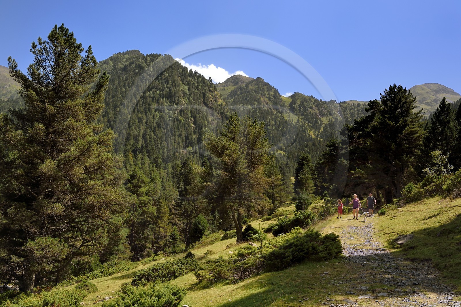 France, Hautes Pyrenees, Saint Lary Soulan, Rioumajou valley