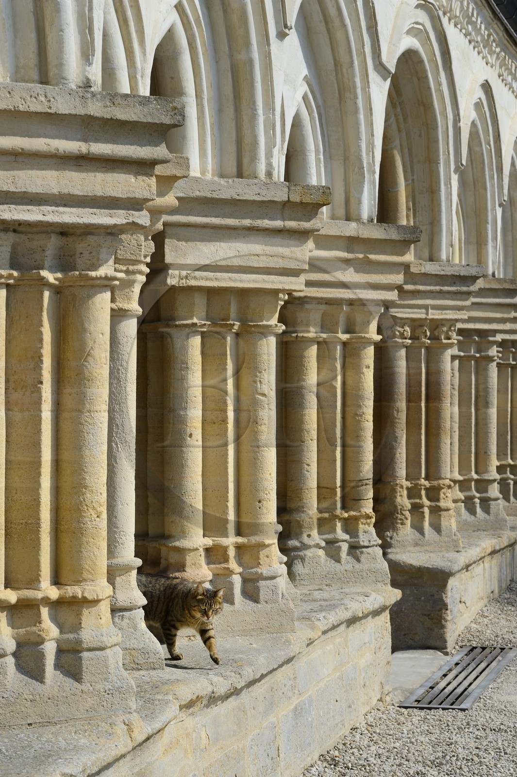 France, Marne (51), village de Saint-Amand-sur-Fion, église Saint-Amand, porche champenois du XIIème siècle et refait au XVIème siècle