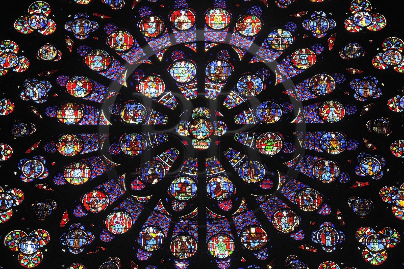 France, Paris (75), île de la Cité, la cathédrale Notre-Dame, rosace de la façade sud