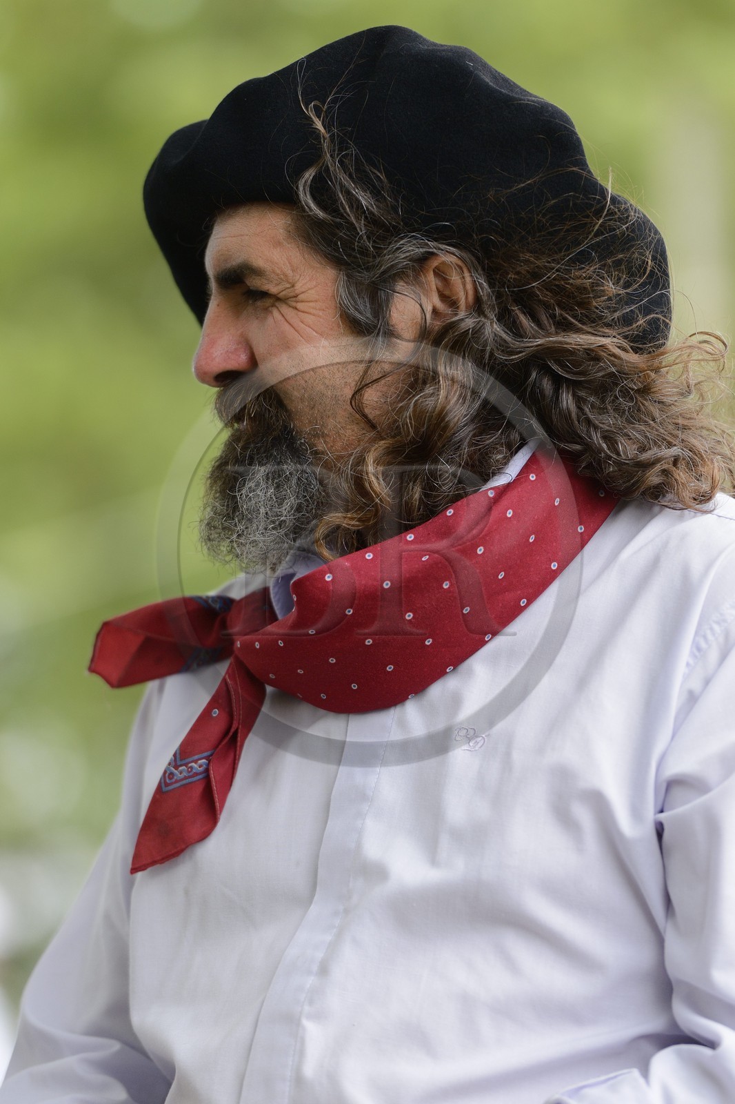 Argentine, province de Buenos Aires, San Antonio de Areco, fête du Jour de la Tradition (Dia de la Tradicion), gaucho