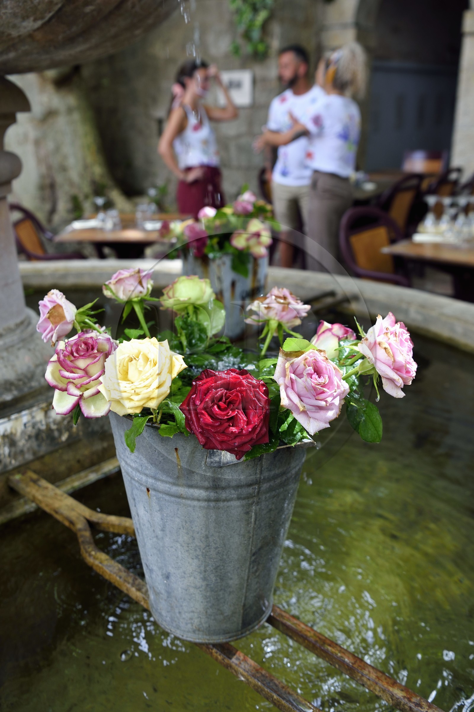 France, Var (83), Seillans, labellisé Les Plus Beaux Villages de France,  place du Thouron, fontaine du XVIIe siècle