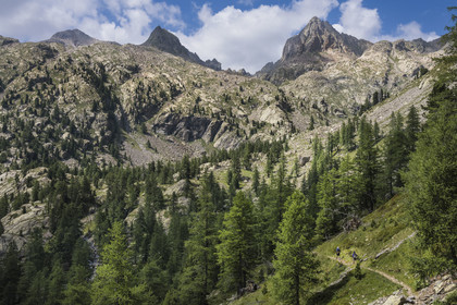 France, Alpes-Maritimes, Parc National du Mercantour (Mercantour national park), Haute Vesubie, Saint Martin Vesubie, Val du Haut Boréon, hikers on the way to the Cougourde refuge, Mount Pelago on the left and Cime Guilié (2999m) on the right in the background