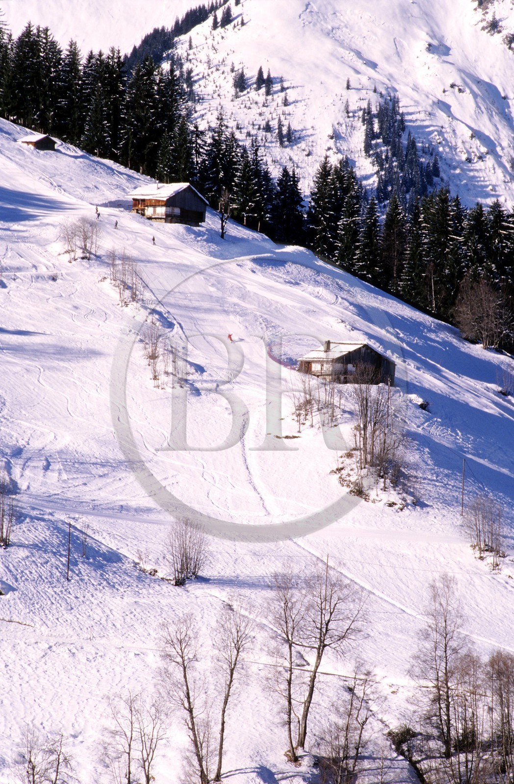 France, Savoie (73), chalet en bois à Arêches-Beaufort