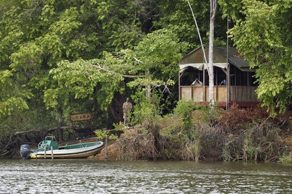 Gabon, province de Ogooué- Maritime, Parc National du Loango, site de Akaka dans la lagune du Fernan Vaz (Nkomi), poste d'observation