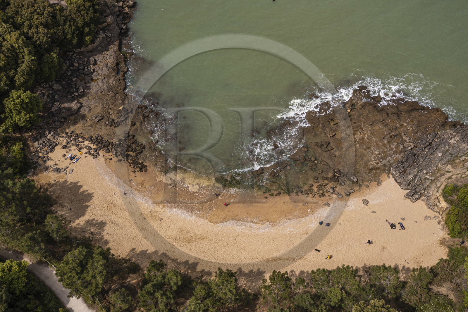 France, Charente-Maritime,  Ile d'Aix (Aix Island), the cove of Sables d'Or beach (aerial view)