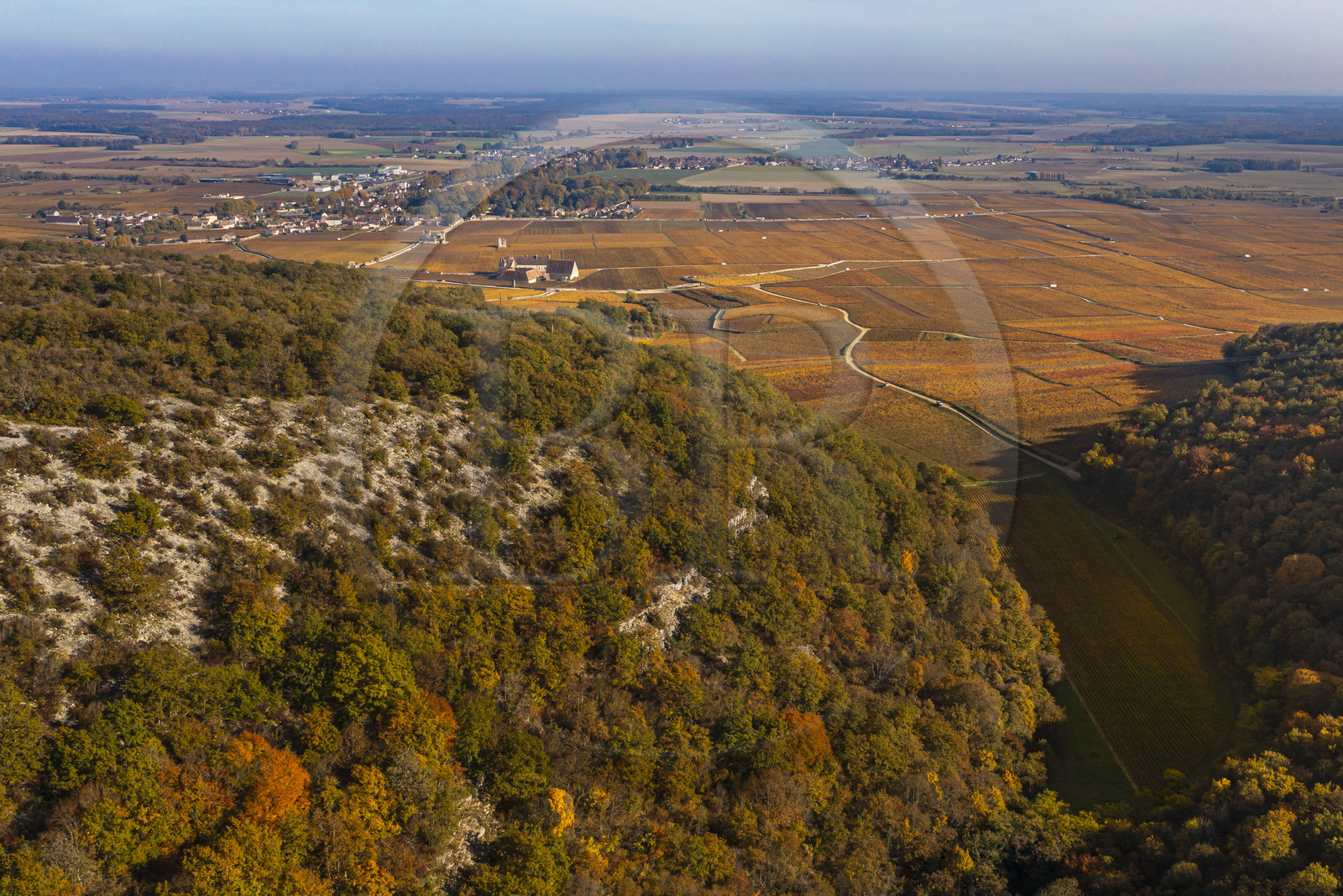 France, Cote d'Or, cultural Landscape of the climates of Burgundy listed as World Heritage by UNESCO, Vougeot, Route des Grands Crus (road of Vintage Wines), view of the Combe d'Orveaux and the Chateau du Clos de Vougeot surrounded by vineyards in the Climats terroirs of Burgundy in the background (aerial view)