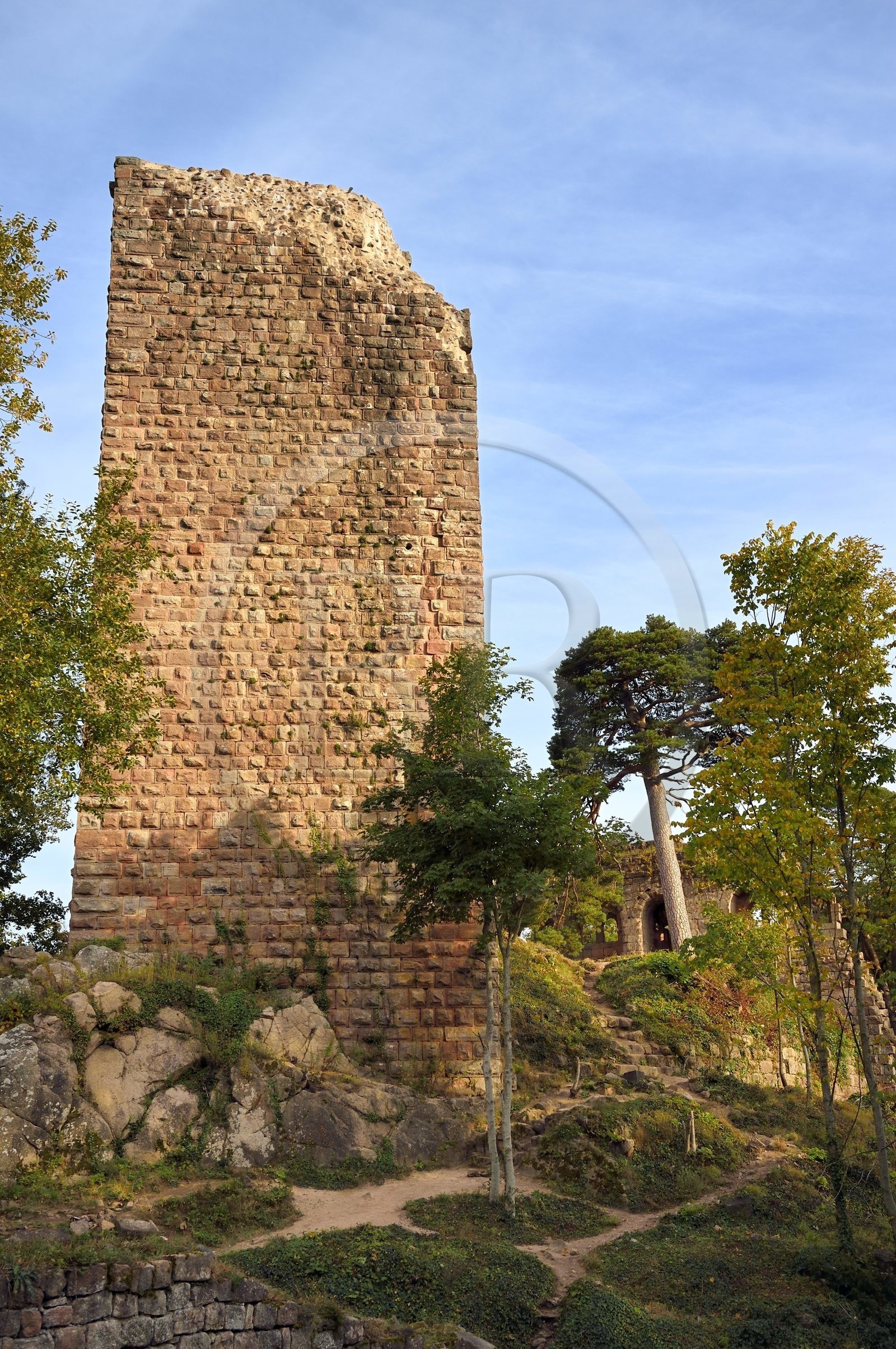 France, Bas Rhin, Heiligenstein, 13th century Landsberg castle, the square dungeon