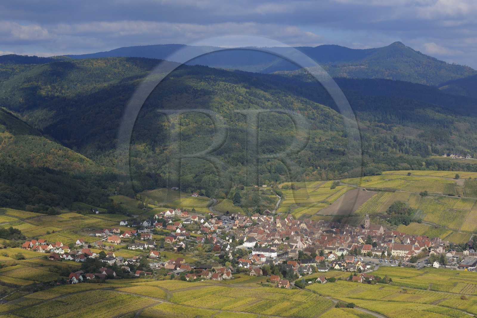 France, Haut-Rhin (68), Riquewihr et son vignoble au pied du massif des Vosges (photo aérienne)