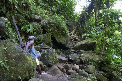 Caribbean, Dominica Island, Morne Trois Pitons National Park listed as World heritage by UNESCO, hike into the heart of the rainforest towards the Middleham Falls, Waitukubuli hiking trail that crosses the island