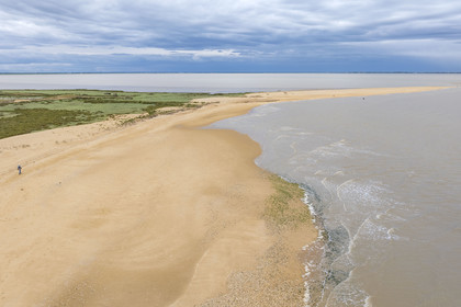 France, Vendée (85), L'Aiguillon-la-Presqu'Ile, vue sur la baie de l'aiguillon depuis la pointe du Lay (vue aérienne)