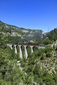 France, Alpes-de-Haute-Provence (04), les scaffarels vers Annot, le Train des Pignes franchit le viaduc de la Donne au dessus du Coulon