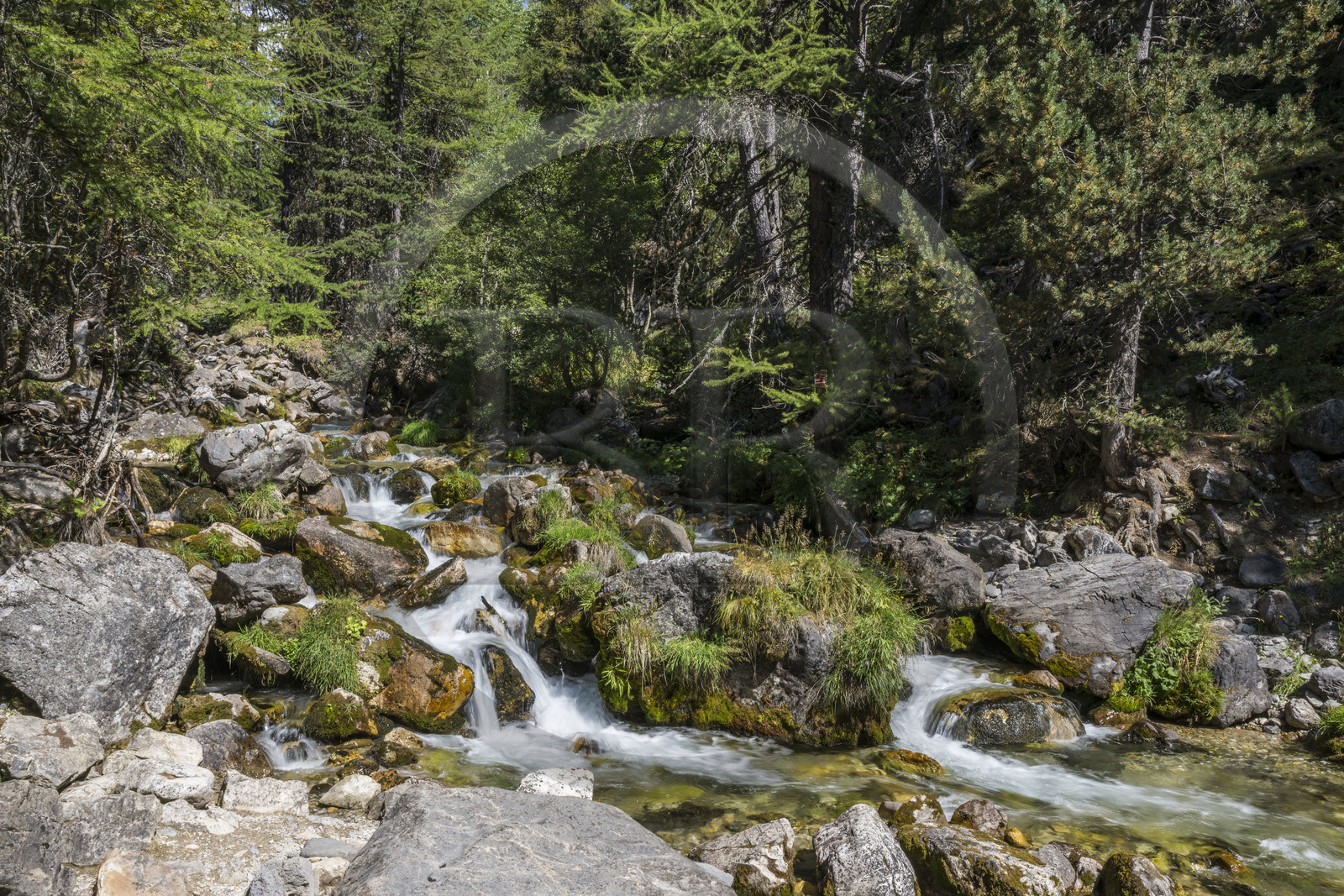 France, Hautes Alpes (05), Névache, ruisseau de la Vallée Étroite à la frontière italienne