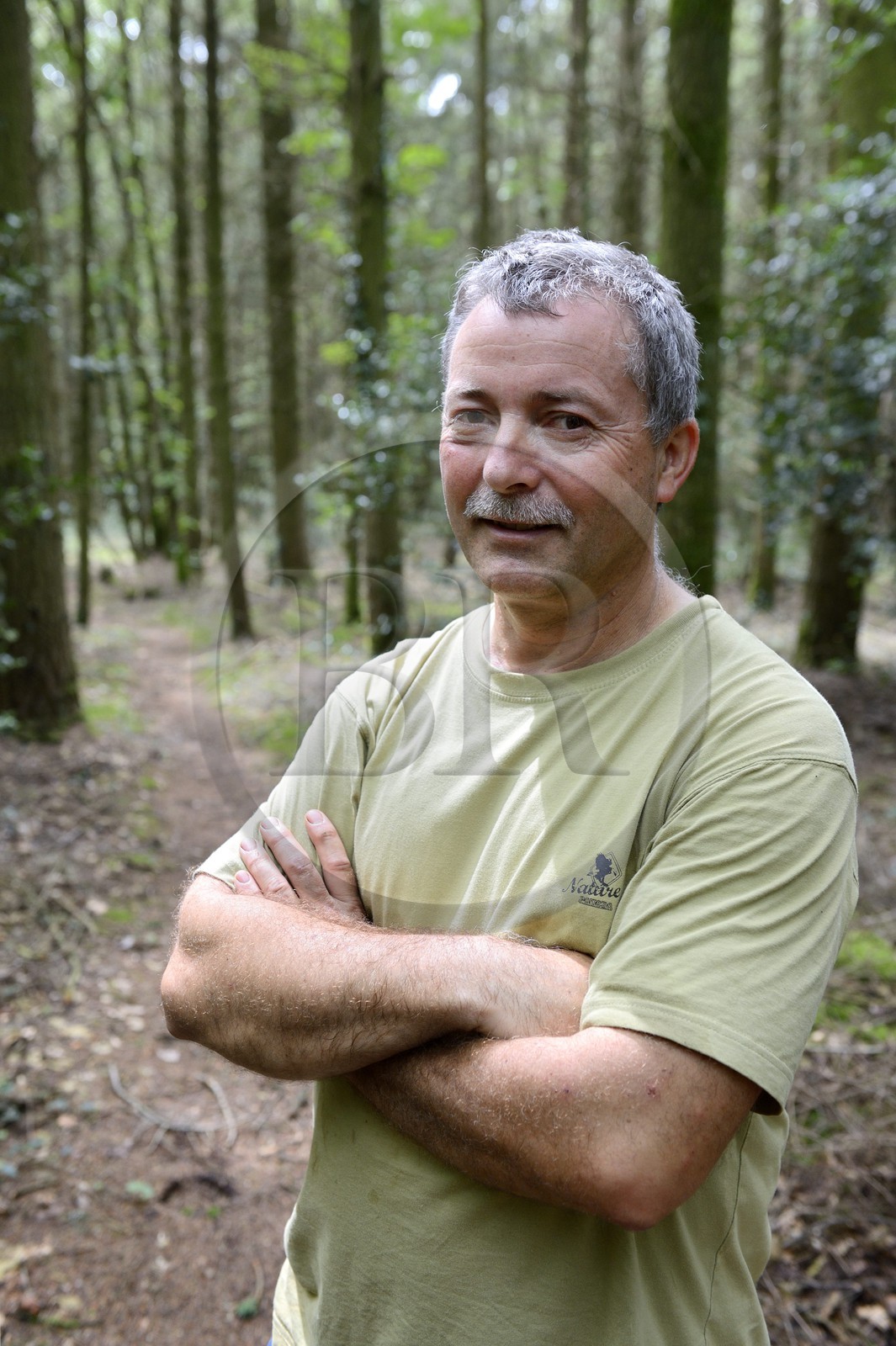 France, Morbihan, Coeby forest, archaeologist Philippe Gouezin