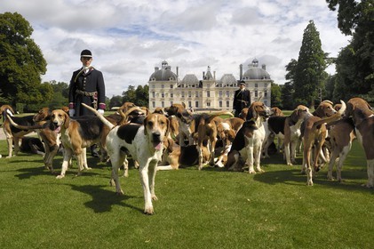 France, Loir et Cher, Chateau de Cheverny, the hunstmen Vol au Vent and La Rosée, who manage the pack of 90 dogs for hunting