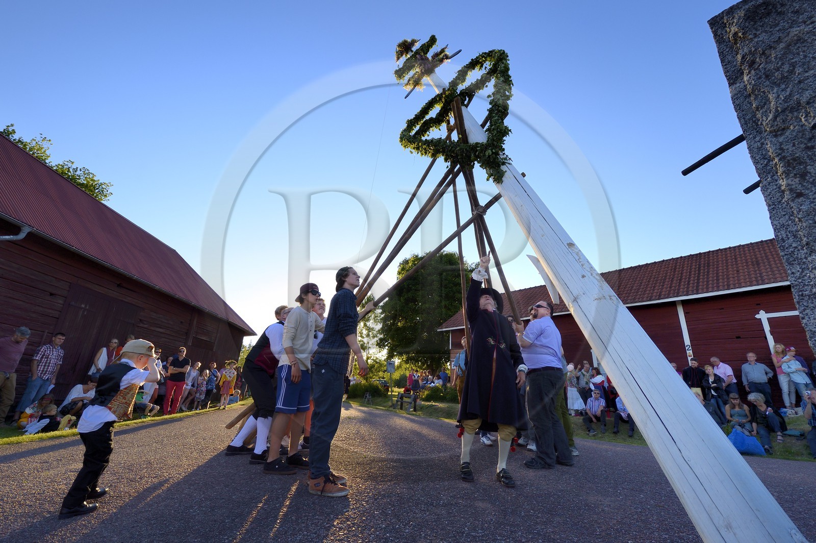 Suède, comté de Dalécarlie, région de Leksand, célébrations du solstice d'été dans le petit hameau de Hjulbäck, levée du mât de l'arbre de mai