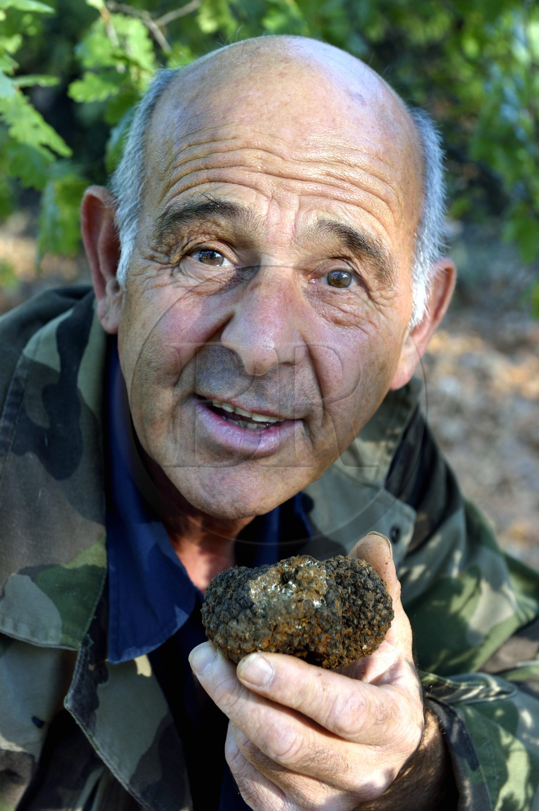 France, Var (83), Bauduen, Domaine du Hameau des Clos, le trufficulteur Marcel Demaria et truffe blanche d’été (Tuber aestivum) dite encore truffe de la Saint-Jean