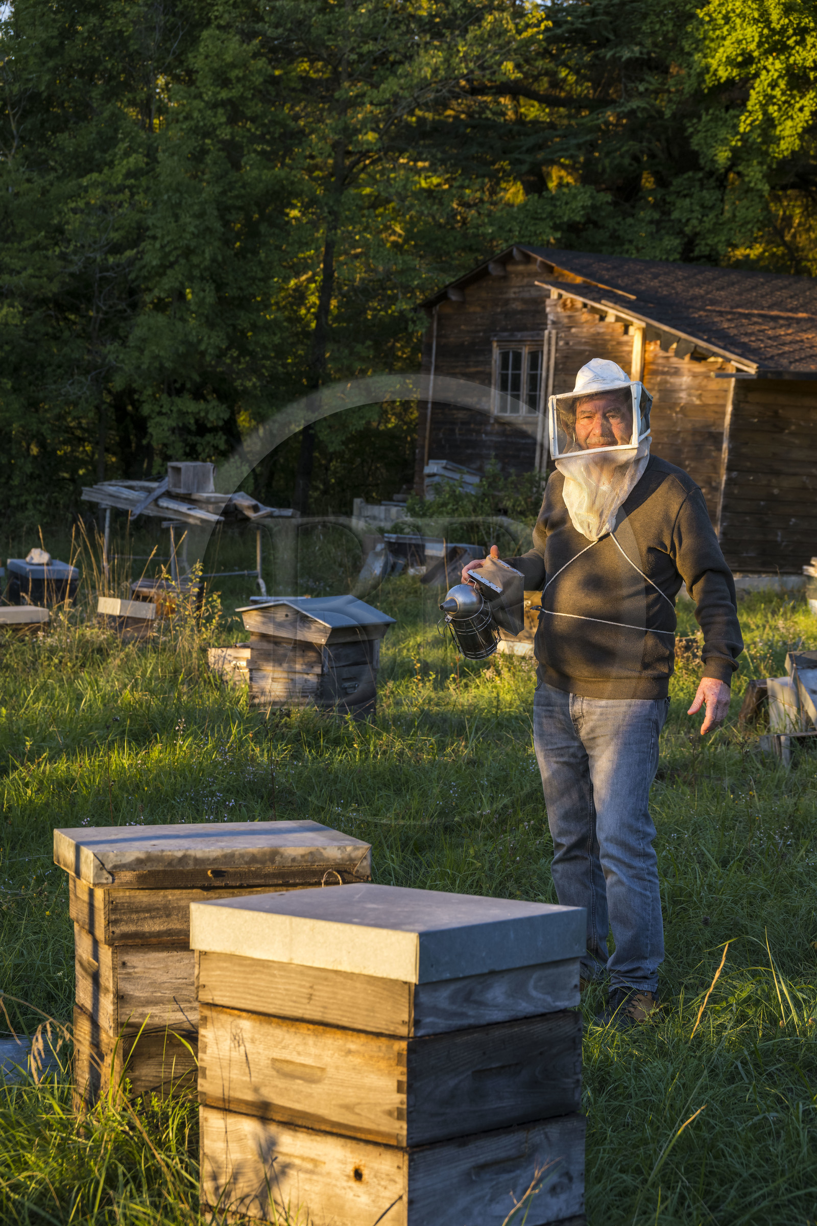 France, Hérault (34), les Causses et les Cévennes, paysage culturel de l'agro-pastoralisme méditerranéen inscrit au Patrimoine Mondial de l'UNESCO, La Vacquerie-et-Saint-Martin-de-Castries, maison d’hotes Les Faïsses, Jean-Louis Perez est aussi apiculteur