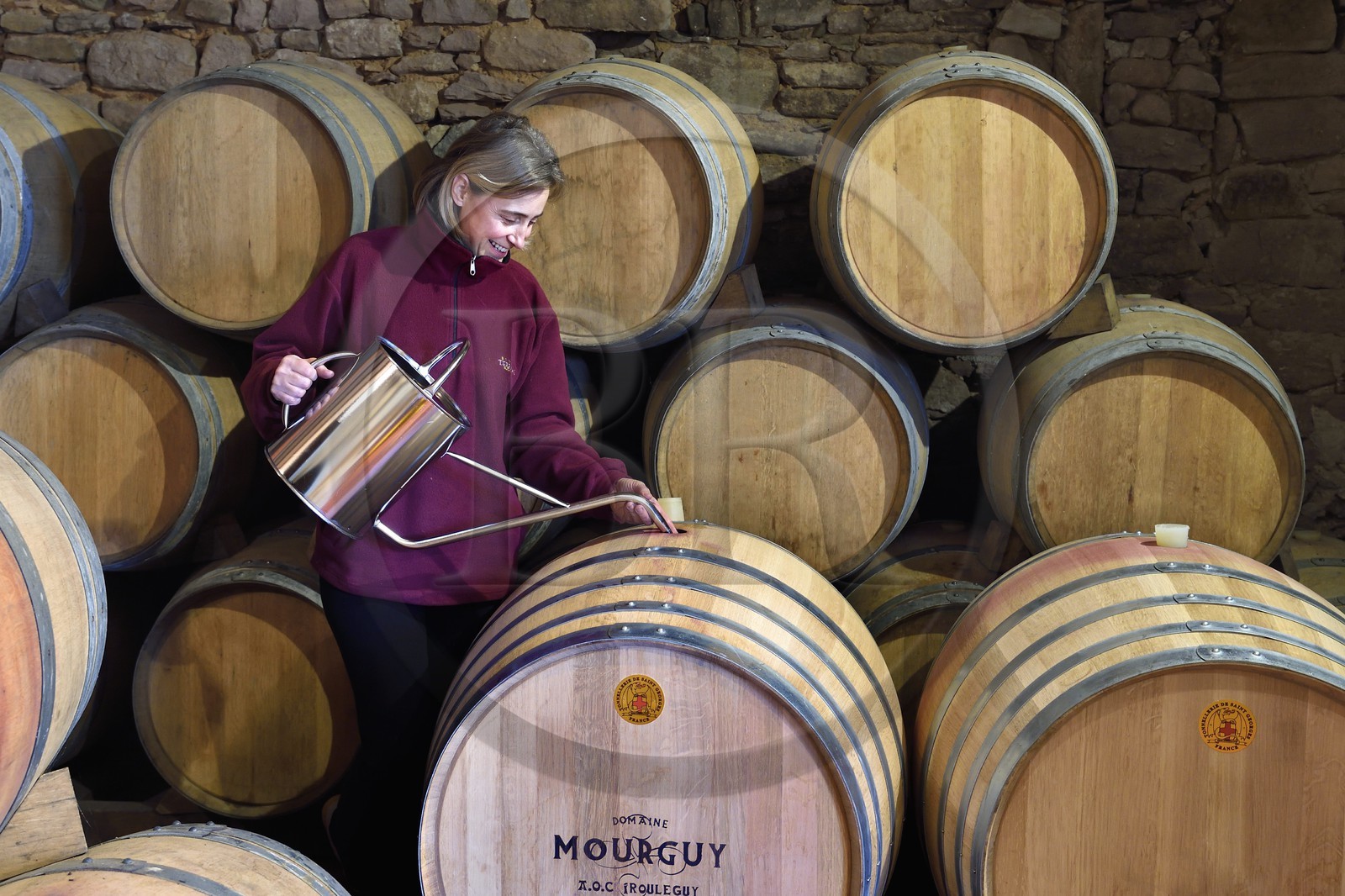 France, Pyrenees Atlantiques, Basque Country, Saint Jean Pied de Port, Ispoure, Domaine Mourguy vineyard, AOC Irouleguy, Florence Mourguy