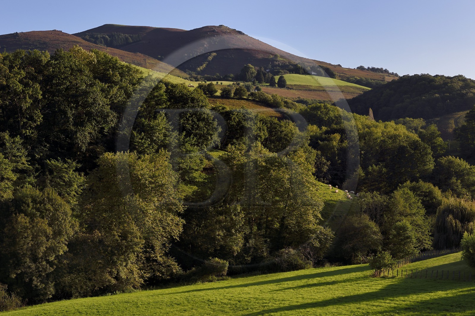 France, Pyrenees Atlantiques, Basque Country, Espelette, forests and pastures at the foot of Mont Mondarrain