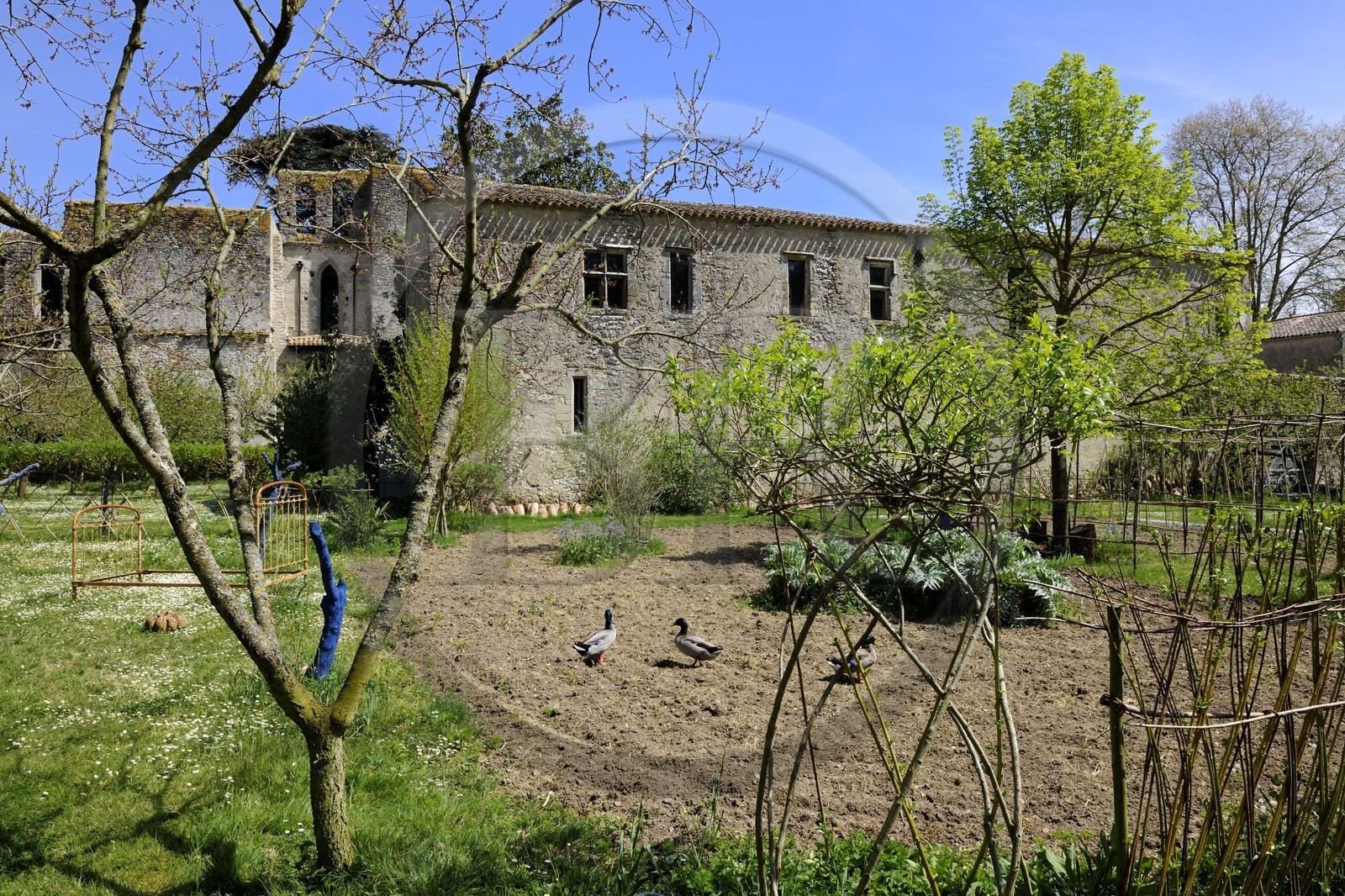 France, Aude (11), Saint-Martin-le-Vieil, ancienne abbaye cistercienne de Villelongue et chambre d'hôte