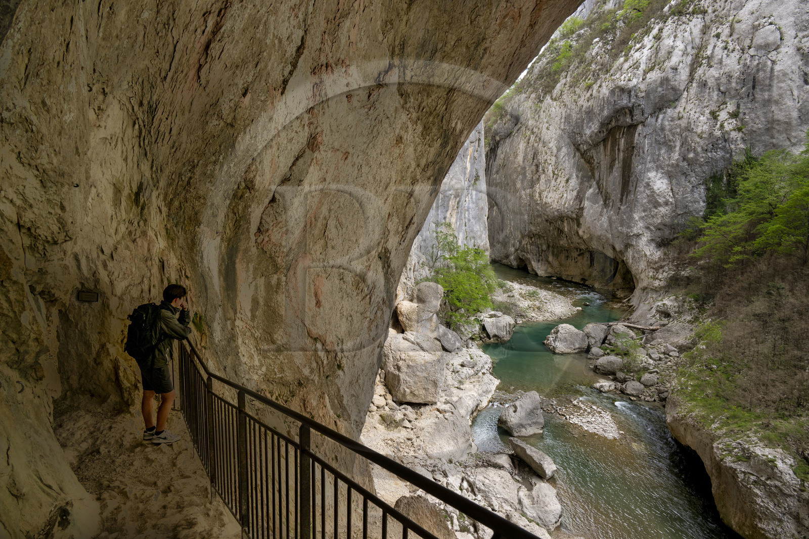 France, Alpes de Haute Provence, Parc Naturel Régional du Verdon, Rougon, Grand Canyon of Verdon in the corridor Samson, seen from the trail sentier Blanc-Martel on the GR4