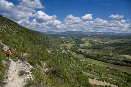 France, Vaucluse (84), Parc naturel régional du Mont Ventoux, Monieux, descente vers Monieux (en arrière plan) à la sortie des Gorges de La Nesque