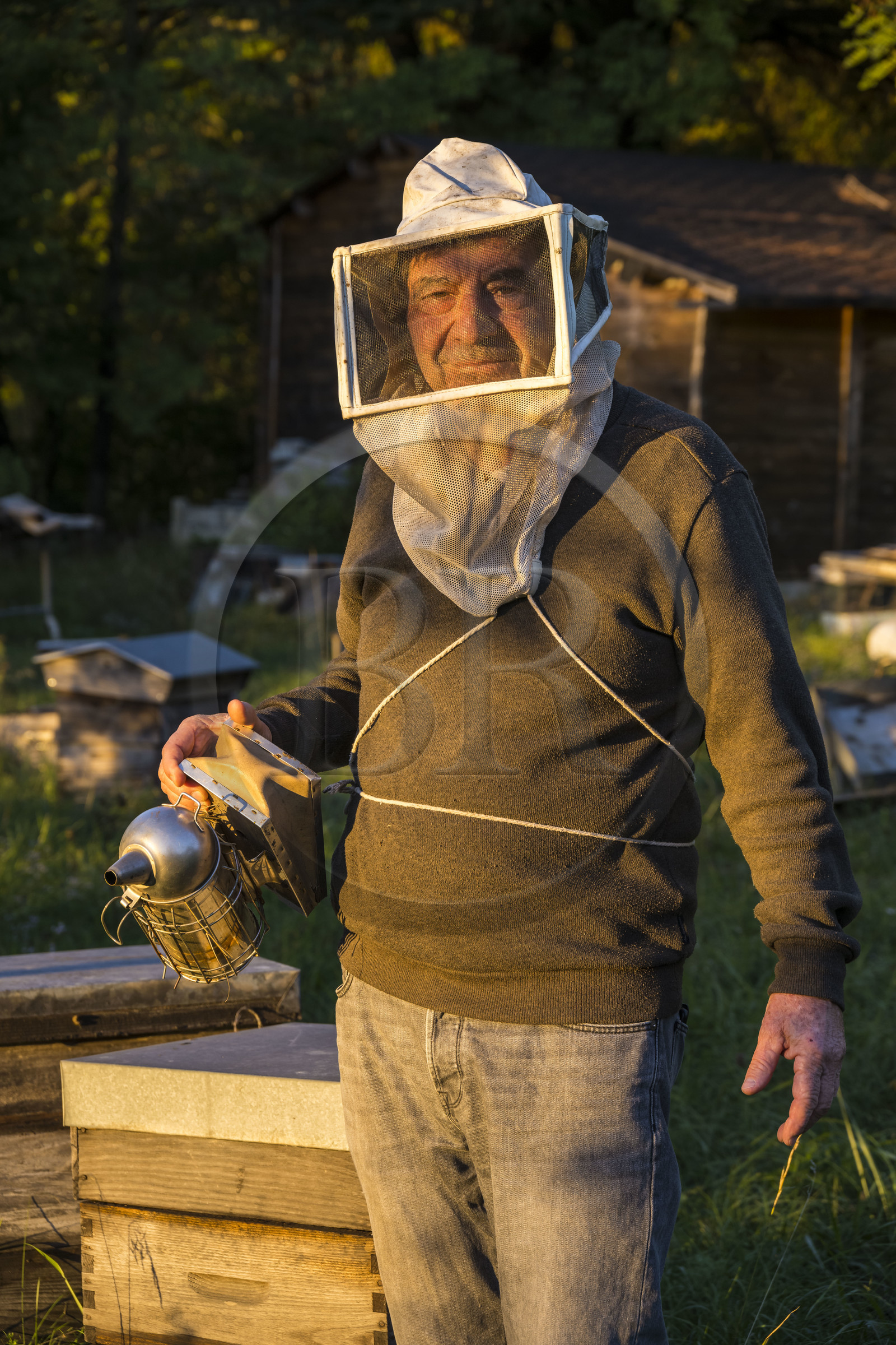 France, Hérault (34), les Causses et les Cévennes, paysage culturel de l'agro-pastoralisme méditerranéen inscrit au Patrimoine Mondial de l'UNESCO, La Vacquerie-et-Saint-Martin-de-Castries, maison d’hotes Les Faïsses, Jean-Louis Perez est aussi apiculteur