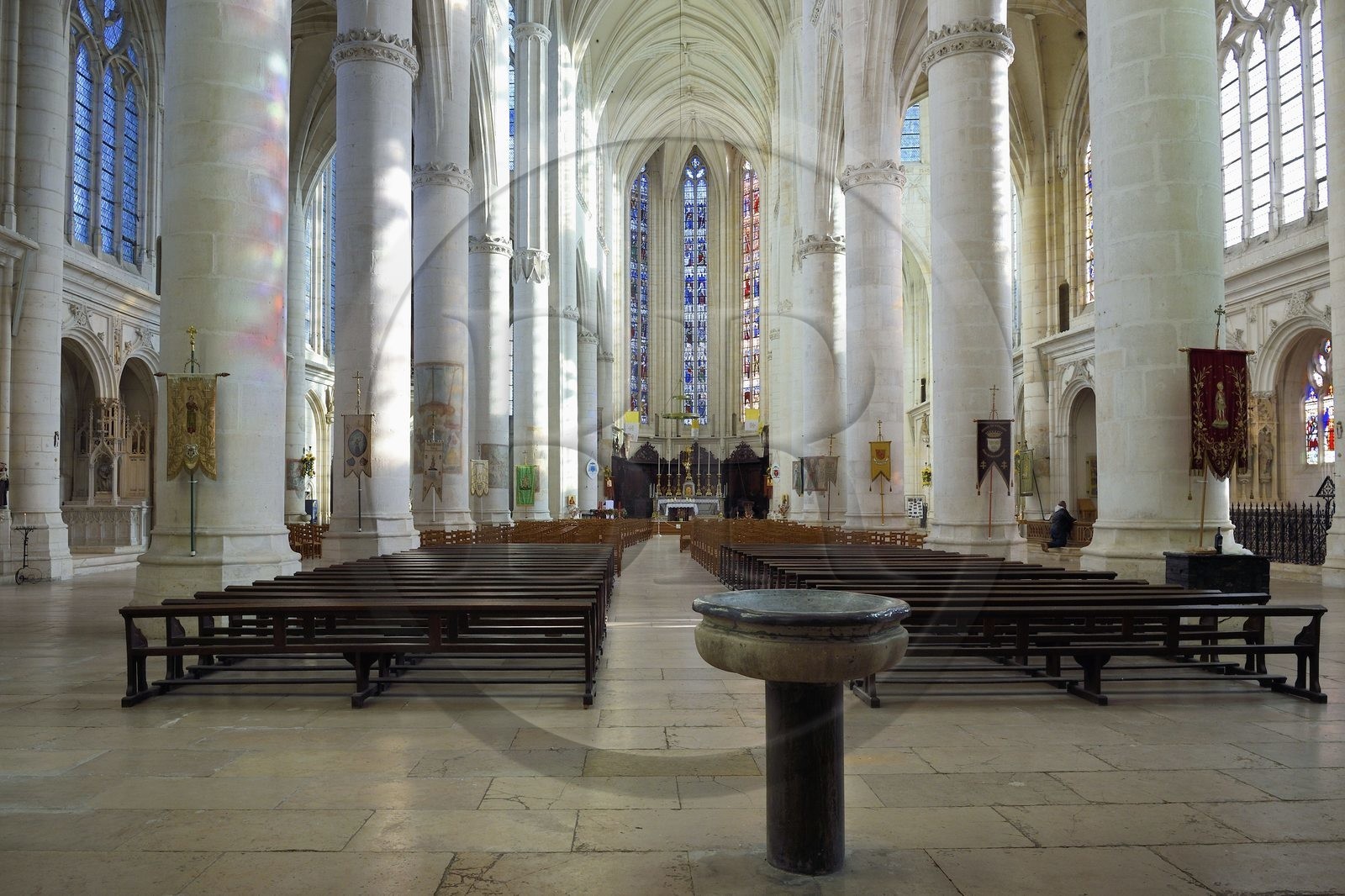 France, Meurthe-et-Moselle (54), Saint-Nicolas-de-Port, basilique de Saint Nicolas, la nef courbe