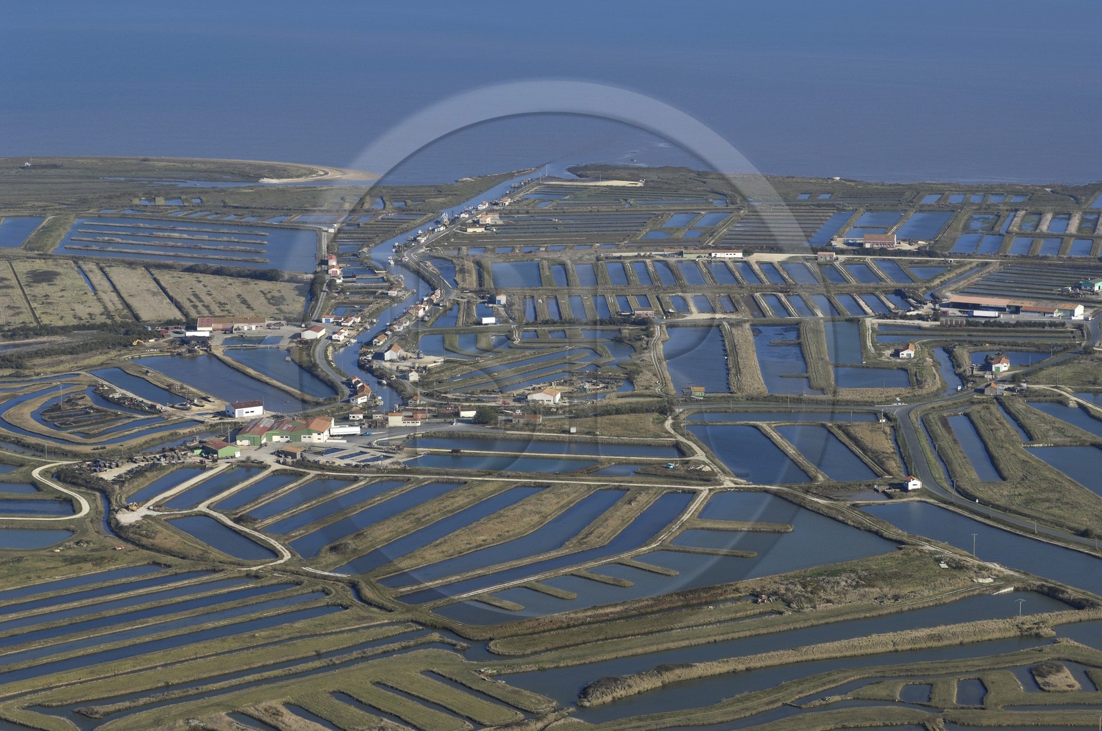 France, Charente-Maritime (17), Ile d'Oléron, côte est au nord de Château-d'Oléron, Claires entre marais et parcs à huitres (vue aérienne)