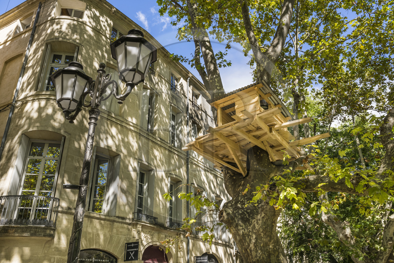 France, Herault, Montpellier, historic center called the Ecusson, Place du Canourgue, Tree Huts in Montpellier sculpture by artist Tadashi KAWAMATA for the GGL Corporate Foundation