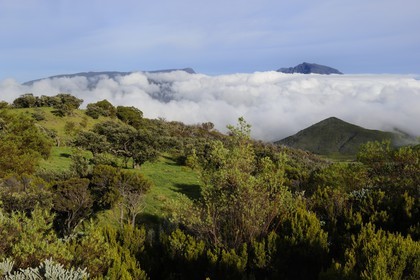 France, Ile de la Reunion, la Plaine des Cafres au pied des pentes du volcan du Piton de la Fournaise et l'ancien volcan du Piton des Neiges en arrière plan