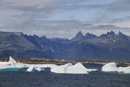 Groenland, fjord de Nanortalik au sud du pays, icebergs