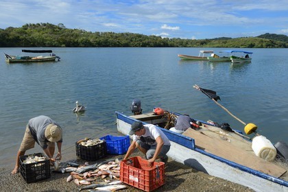 Panama, Chiriqui province, the small harbor of Boca Chica