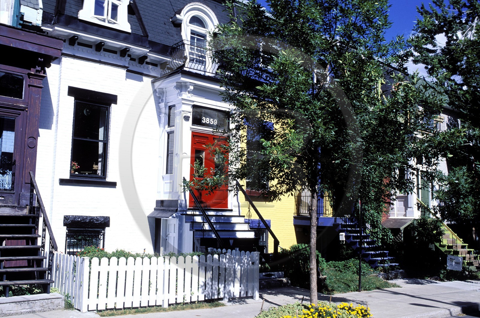 Canada, Québec, Montréal, quartier du Plateau Mont-Royal