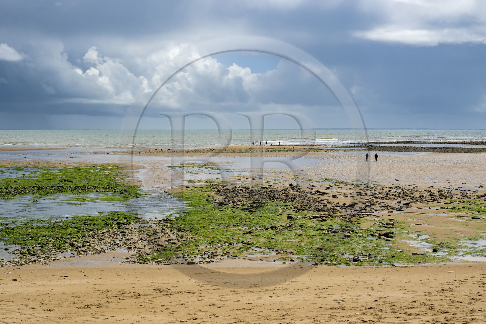 France, Vendée (85), Saint-Vincent-sur-Jard, plage du goulet à marée basse