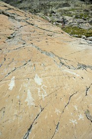 France, Alpes-Maritimes, parc national du Mercantour (Mercantour National Park), the Vallee des Merveilles (Valley of Wonders) scattered with thousands of rupestral engravings of the Bronze Age, schist flagstone called the Rock of the Altar engraved with hornlike figures, daggers, linear incisions and even stars which is unusual