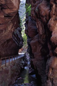France, Alpes-Maritimes (06), Massif du Mercantour, site natura 2000, Gorges du Cians creusées par le Cians dans des sols de pélite rouge, portion de l'ancienne route aujourd'hui abandonnée au lieu dit La Grande Clue