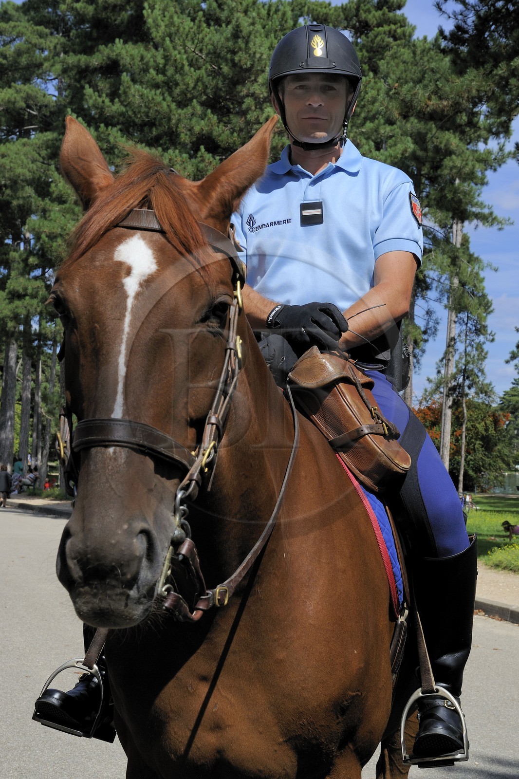 France, Paris (75), Gardes républicains à cheval patrouillant dans le Bois de Boulogne