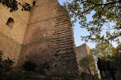 France, Haut-Rhin (68), les trois donjons d'Eguisheim dans le massif des Vosges