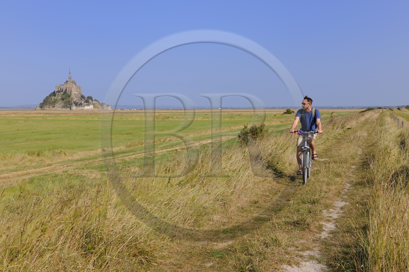 France, Ille-et-Vilaine (35), le Mont-Saint-Michel depuis la digue des polders