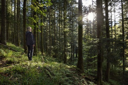 France, Vosges (88), Le Valtin, randonnée dans la vallée du Valtin dans la haute-vallée de la Meurthe