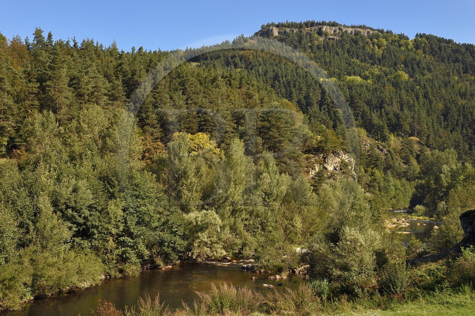 France, Haute Loire, Loire river Valley, Arlempdes, the banks of the Loire river