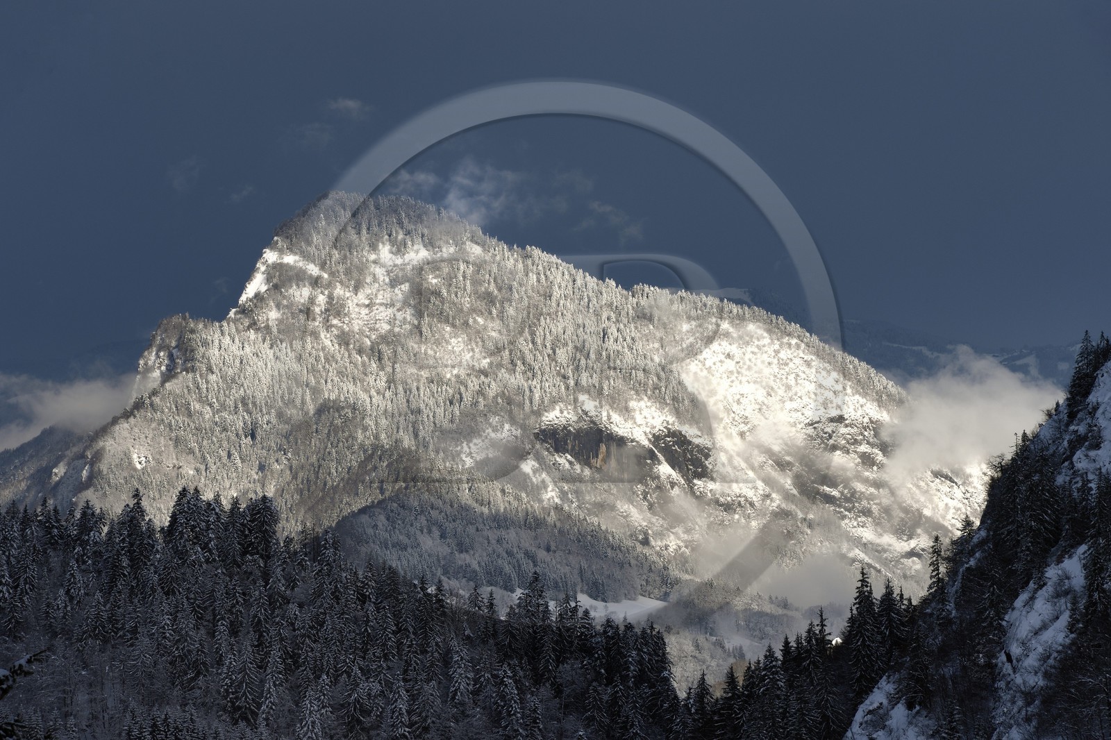 France, Haute-Savoie (74), Taninges, massif du Chablais, Pic de Marcelly