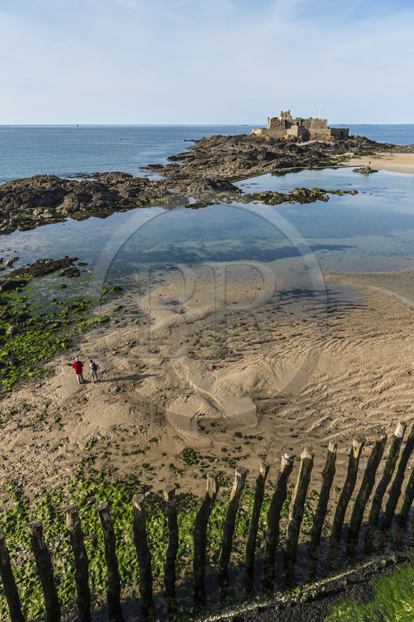 France, Ille-et-Vilaine (35), Côte d'Emeraude, Saint-Malo, Fort National conçu par Vauban et construit par Siméon Garangeau de 1689 à 1693, la plage de l'eventail à marée basse avec ses brise-lames en bois