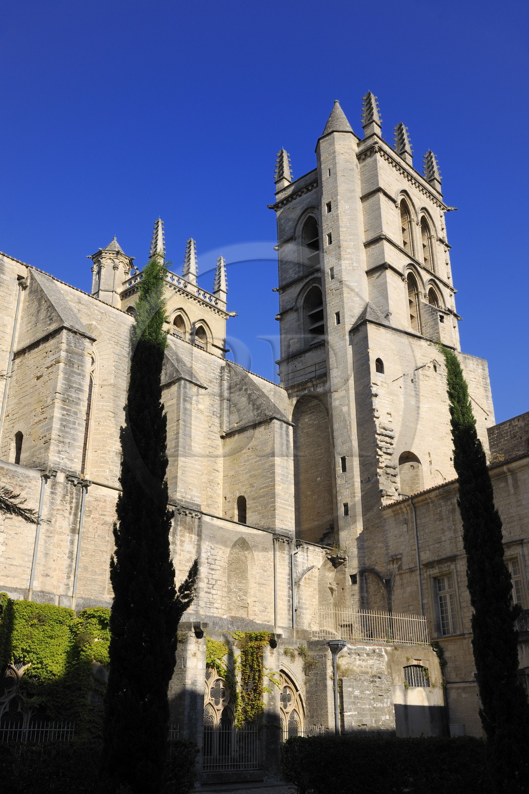 France, Hérault (34), Montpellier, centre historique, la cathédrale Saint Pierre