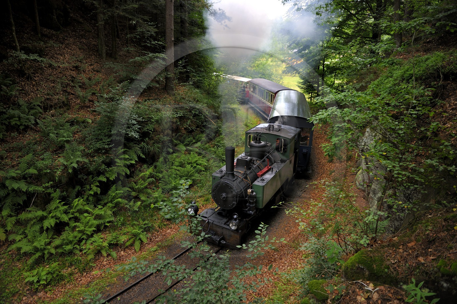 France, Moselle, Abreschviller, small train formerly forest train