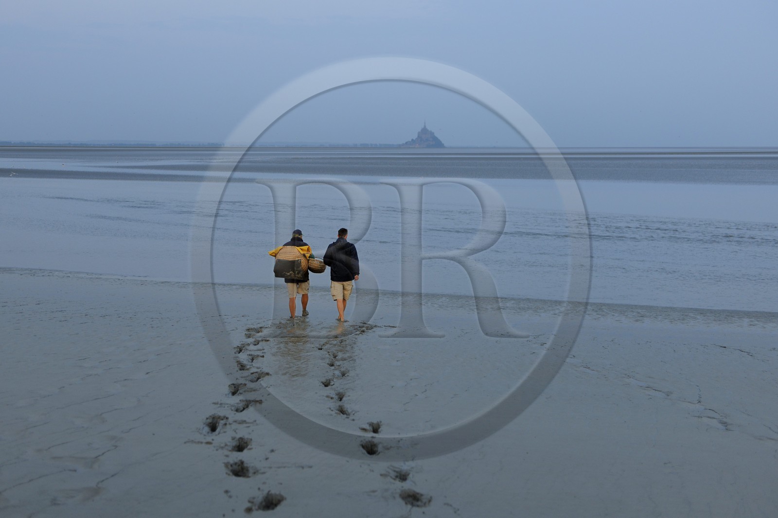 France, Manche (50), Baie du Mont-Saint-Michel, le pêcheur de grêve Guy Jugan allant relever ses filets de crevettes grises